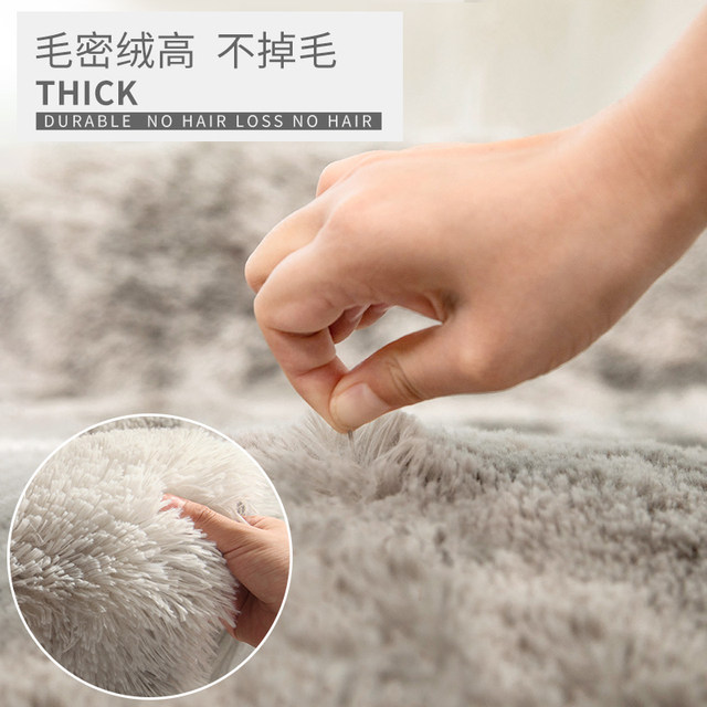 Carpet bedroom living room 2025 new bedside blanket high -level sensation can be cleaned to wipe blanket cushion room coffee table thick
