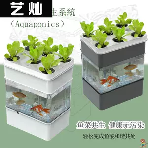 鱼菜共生生态系统设备 新人首单立减十元 22年9月 淘宝海外