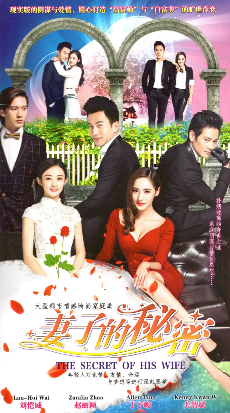 都市情感电视连续剧妻子的秘密dvd碟片dvd光盘刘恺威赵丽颖