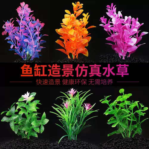 中景水草 新人首单立减十元 22年1月 淘宝海外