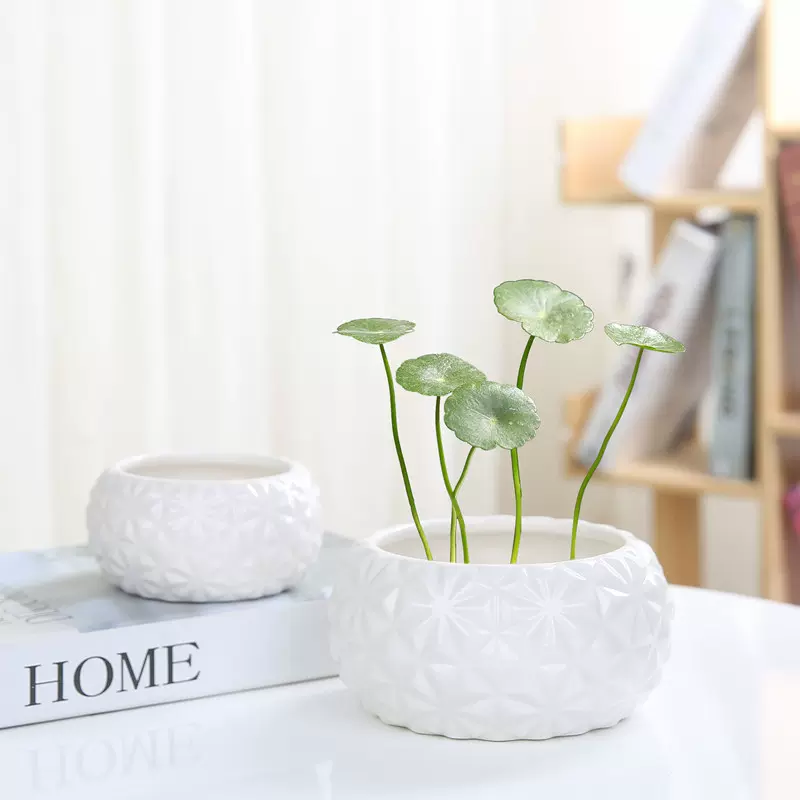 花瓶水仙花专用 新人首单立减十元 21年11月 淘宝海外