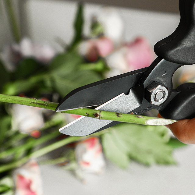 DEARYOU imported flower cutters in Japan, horticulture scissors, flower artists' special flower arrangement and pruning scissors