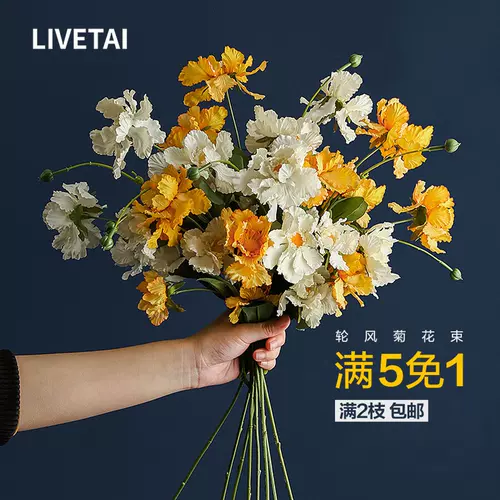 轮插花 新人首单立减十元 22年2月 淘宝海外