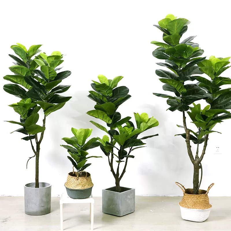 北欧风仿真琴叶榕大型绿植客厅室内装饰大盆栽落地大叶