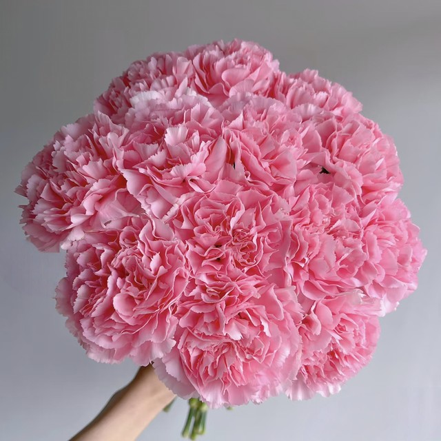Yunshe Town Store Treasure, Pink Diamond Single-Head Carnation, Any combination of 2 or more cold chains