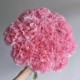 Yunshe Town Store Treasure, Pink Diamond Single-Head Carnation, Any combination of 2 or more cold chains