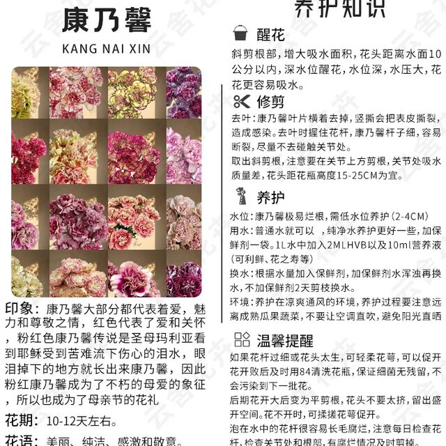 Yunshe Town Store Treasure, Pink Diamond Single-Head Carnation, Any combination of 2 or more cold chains