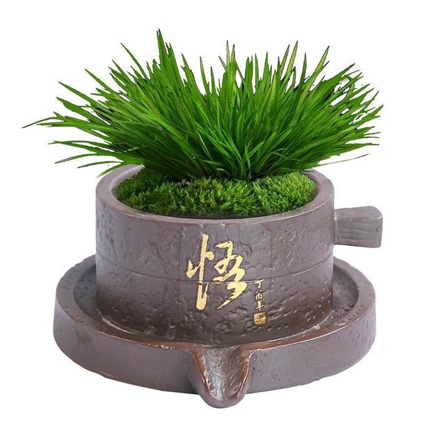 Polycin Boil Simple Ceramics Pot Rough Pottery Pot Home Horticultural Plactic Potten Potted Ge Kiln Water Swing