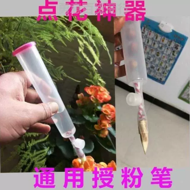 西瓜茄子西红柿点花器沾花器点花神器授粉器番茄点花笔手动人工