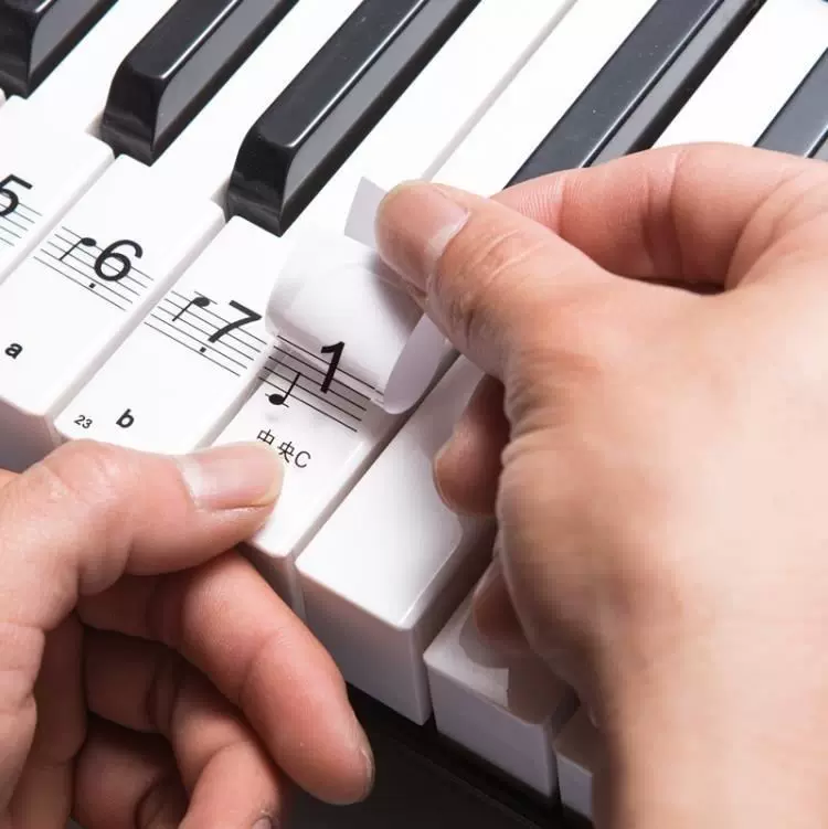 钢琴键盘键61键49键32键贴纸电子琴琴贴钢琴手卷