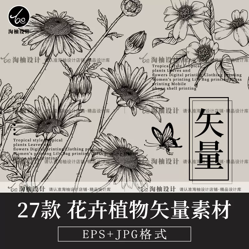 太阳花雏菊山茶水仙手绘eps矢量线稿素描铅笔黑白电子源文件