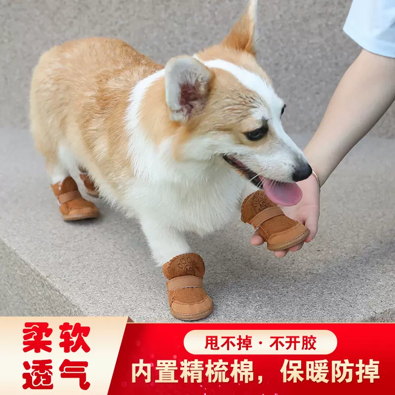 狗狗鞋子柯基犬 新人首单立减十元 21年10月 淘宝海外