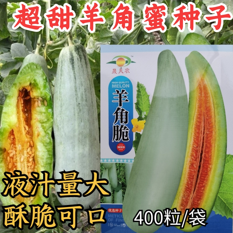 200 seeds of extremely sweet and crunchy Asian Melon 羊角酥 - 中国甜瓜，高产，甜脆，淡绿色果肉，皮薄）. 