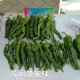 Surun wrinkled spicy pepper seeds large fruit wrinkled horn pepper pickled pepper black pit spicy thin skin pepper seeds