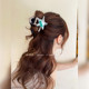 A bit cool ~ Interesting AB face medium-sized grab clips for women 2025 new style with a small back of the head hair shark clip