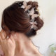 Agile butterfly clip female high-end 2025 new style back head shark clip large hair volume large hair clip