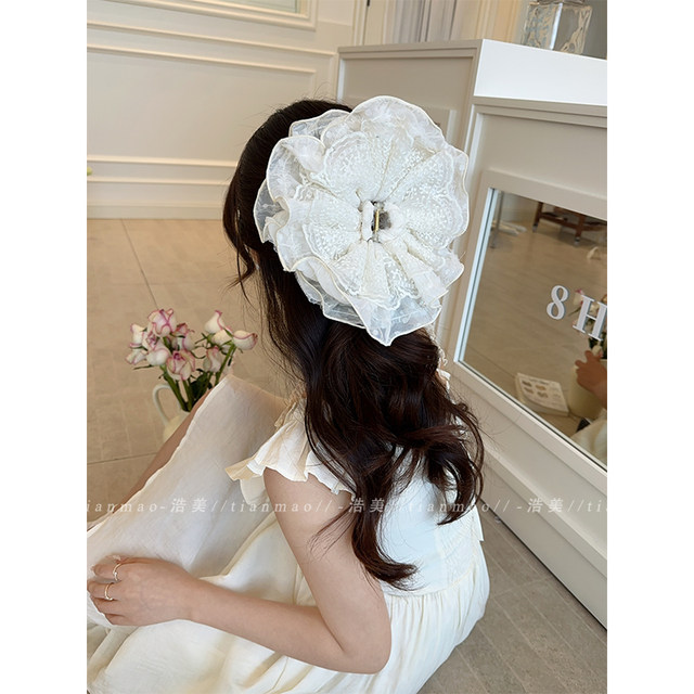 Ballet style high-quality hair ring clip for women detachable high-end 2025 new style back head shark clip