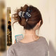 A bit cool ~ Interesting AB face medium-sized grab clips for women 2025 new style with a small back of the head hair shark clip