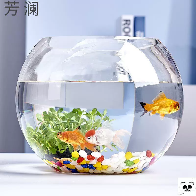 金鱼鱼缸石 新人首单立减十元 21年12月 淘宝海外
