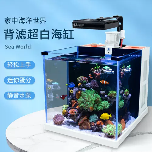 小型海水缸全套设备 新人首单立减十元 22年2月 淘宝海外