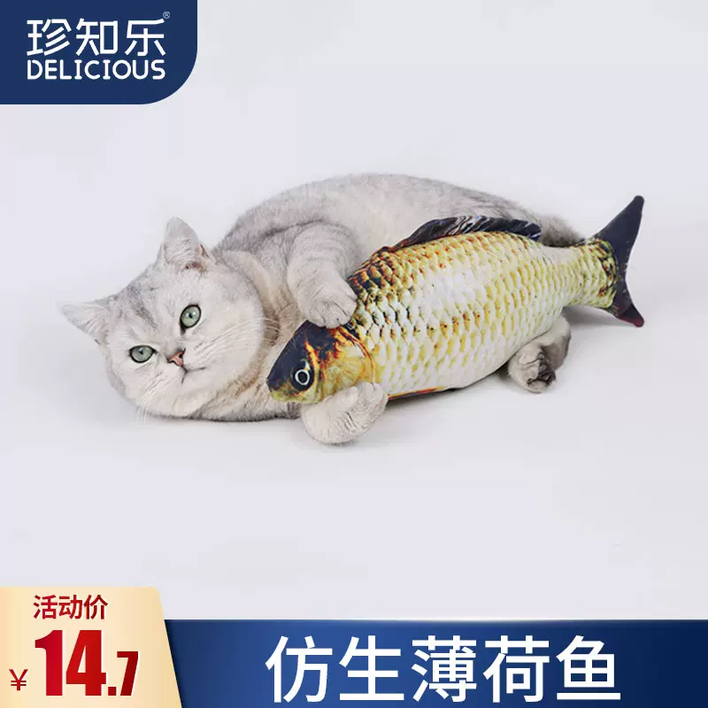 红猫鱼 新人首单立减十元 2021年12月 淘宝海外