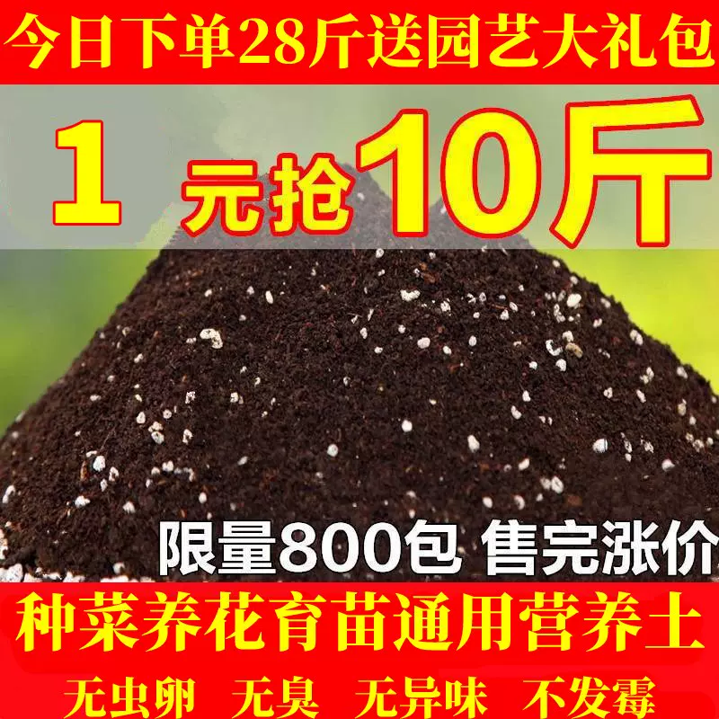 茉莉花泥土 新人首单立减十元 21年11月 淘宝海外