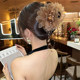 Peony Feather Tassel Clip Women's 2025 New Hairpin Back Head Show Hair Volume Shark Clip Haircard Headdress