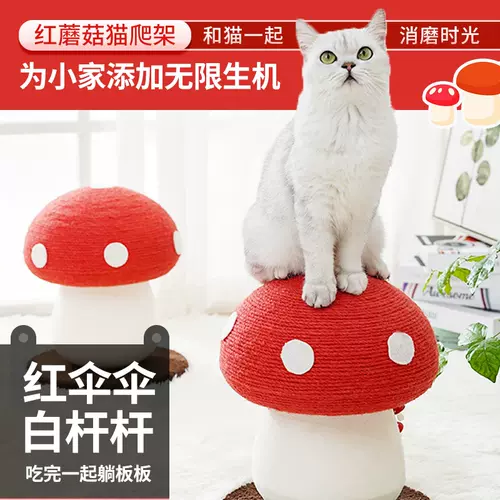 猫爬架摆件 新人首单立减十元 22年2月 淘宝海外