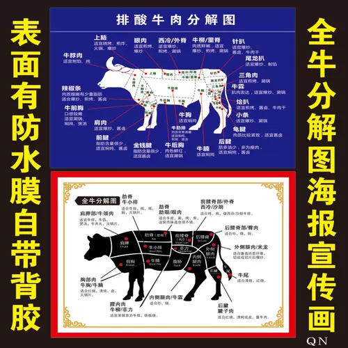 牛分解图贴 新人首单立减十元 22年2月 淘宝海外