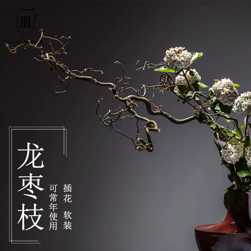 龙枣树枝干枝花材枝条花艺禅意器皿枯枝枯木插花