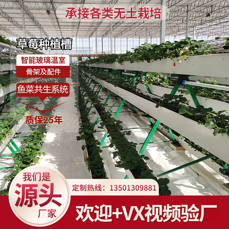 水培栽培槽 新人首单立减十元 22年1月 淘宝海外