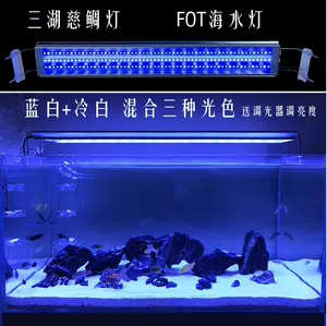 海水魚燈 新人首單立減十元 22年9月 淘寶海外