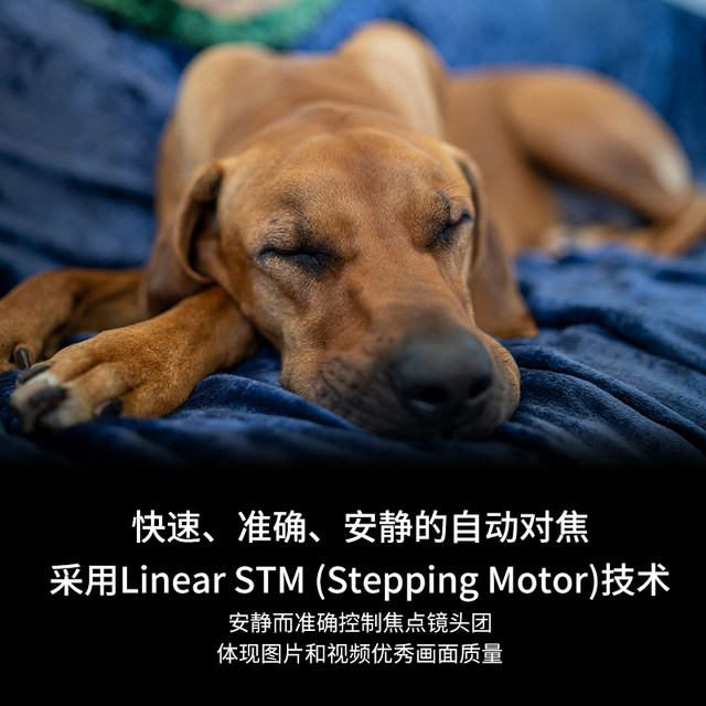 SAMYANG 35MM F1.8 large aperture portrait Sony E-mount full frame micro single lens Sanyo