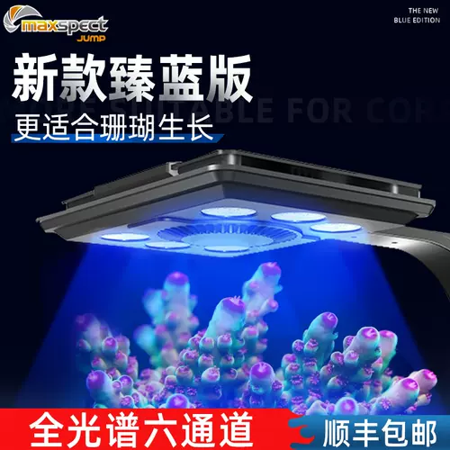 迈光led海水 新人首单立减十元 22年1月 淘宝海外