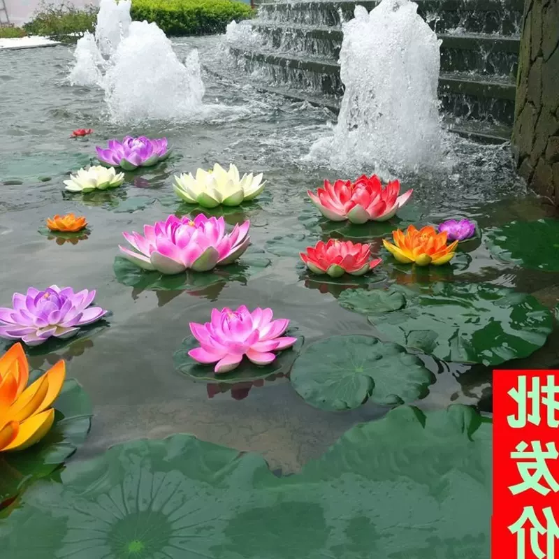 鱼缸浮草水草 新人首单立减十元 21年11月 淘宝海外