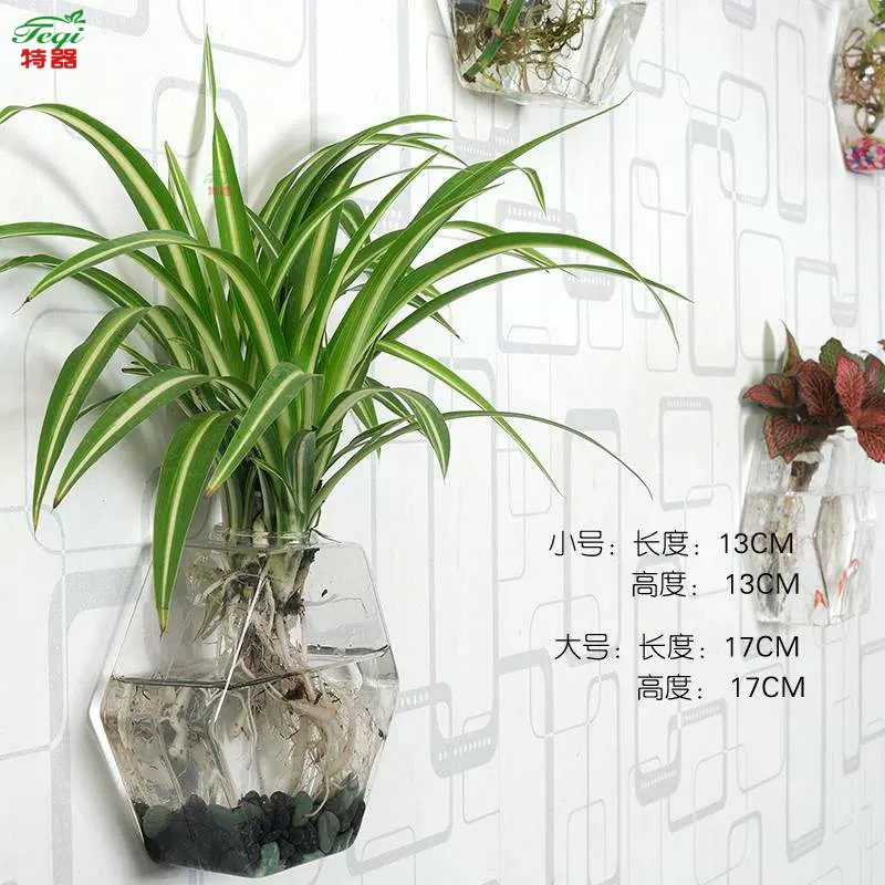 水养兰花玻璃瓶 新人首单立减十元 21年11月 淘宝海外