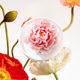 Dehua ceramics and flower ornaments home accessories handmade flower pinch peony flower diffuser aromatherapy mother lover gift