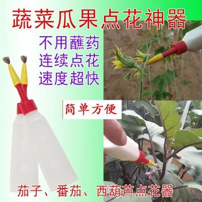 西红柿点花器茄子点花笔番茄点花器授粉长茄子点花药热