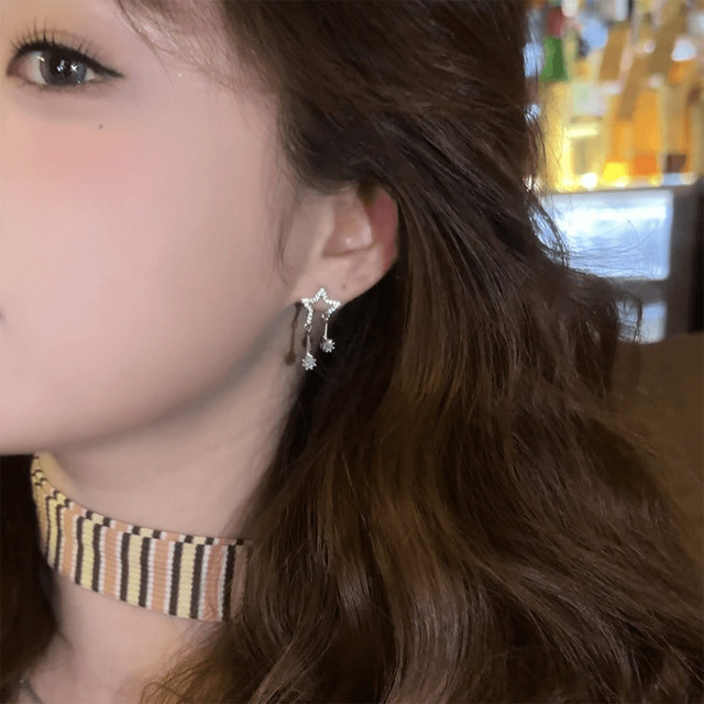 
Super sparkling star zircon earrings for women 2025 new popular fashion niche design earrings high-end temperament earrings