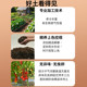 Special soil for nutritional soil for vegetable cultivation indoor balcony household vegetables organic soil seedling cultivation gardening soil flower soil official