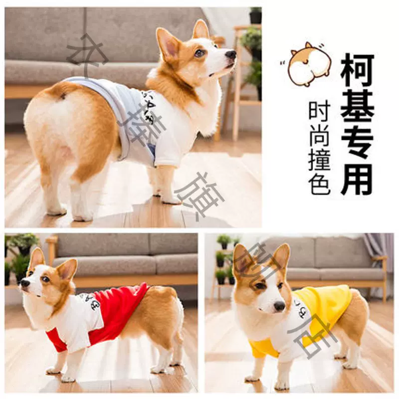 印英文小型 新人首单立减十元 2021年11月 淘宝海外