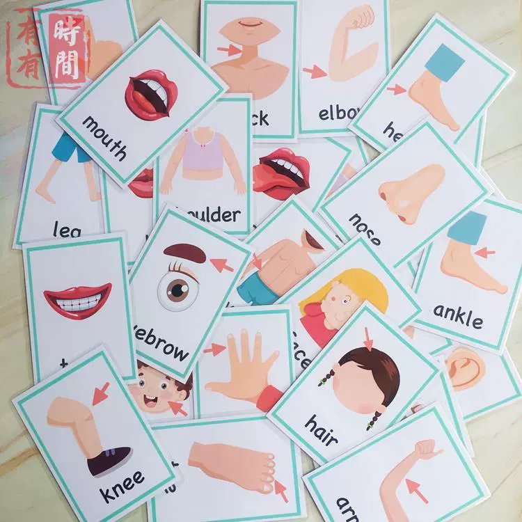 幼儿身体部位认知教具 新人首单立减十元 21年11月 淘宝海外