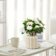 Office desktop green plants small potted indoor plants ins cream style four seasons lazy people easy to raise flower kindergarten