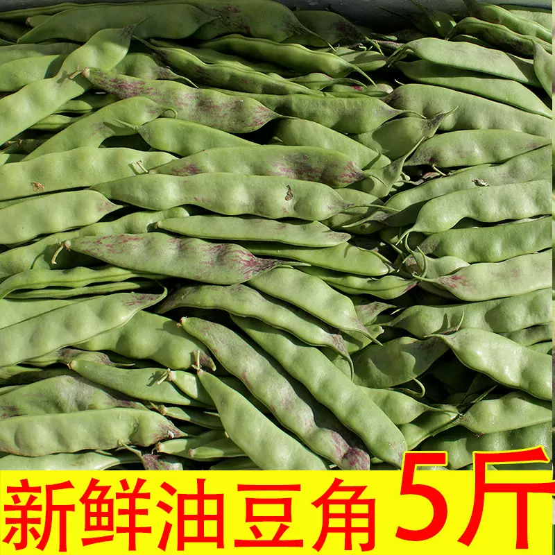 中国油豆角5kg 旱黄瓜3kg（正宗東北老品種紫花油豆角）長野県産 信州