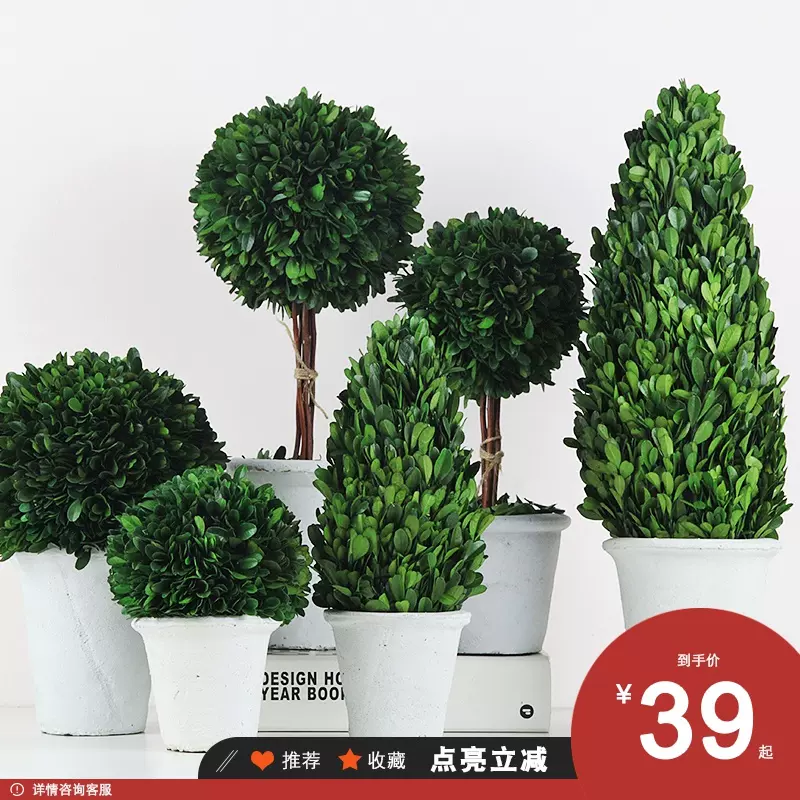永生花树幸福树仿真绿植小盆栽北欧球形塔形摆件装饰