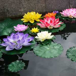 水生植物鱼缸水养 新人首单立减十元 22年3月 淘宝海外