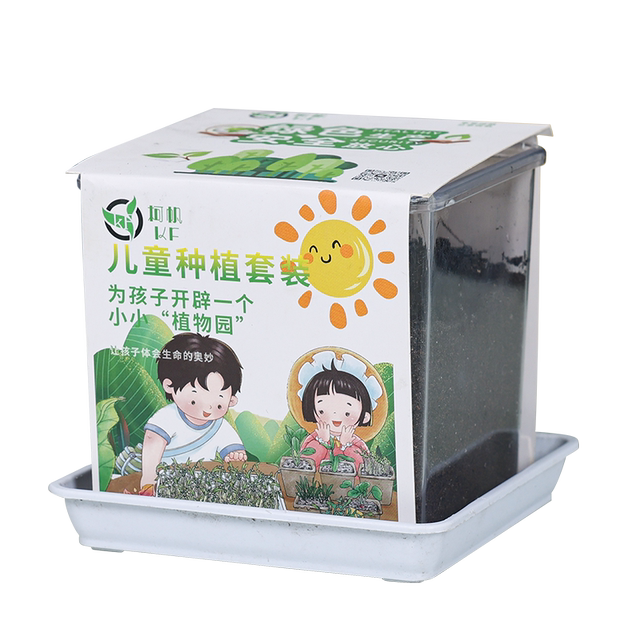 Children plant small potted sunflower seeds for students to scientifically observe experimental plants sunflower and impatiens set
