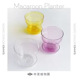 盆栽玻璃兰花 新人首单立减十元 22年3月 淘宝海外