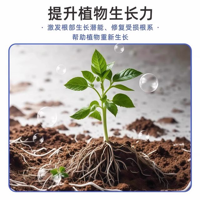 Plant regeneration agent resurrection liquid flower green plant potted plant general light rod yellowing money tree succulent growth nutrient solution