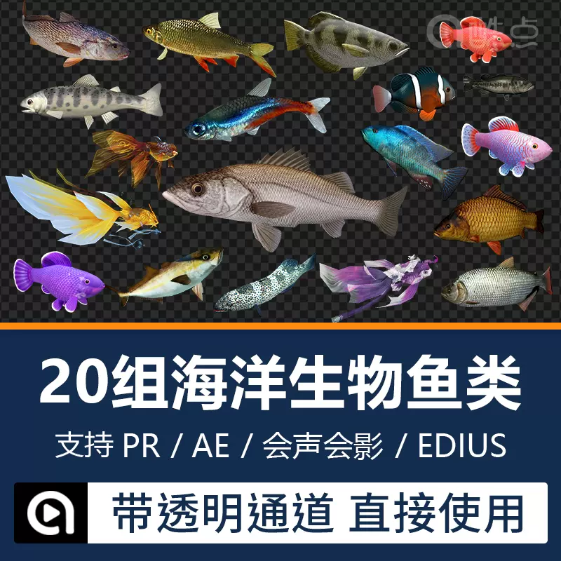 海特效素材-新人首单立减十元-2021年11月淘宝海外